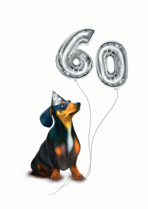 Dachshund 60th birthday card created by Hot Dog greetings