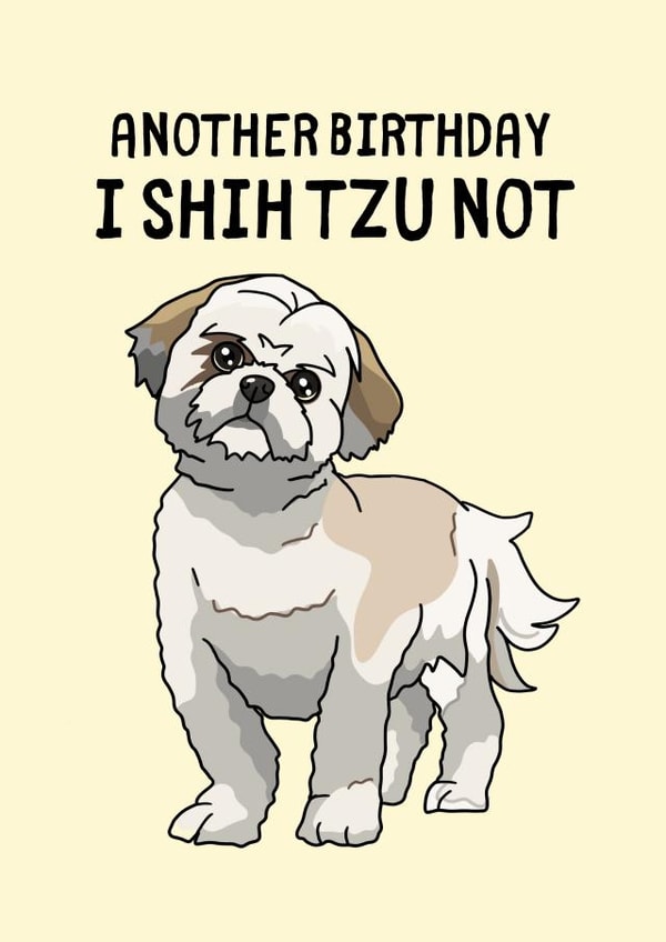 Shihtzu birthday card created by Jam On Toast