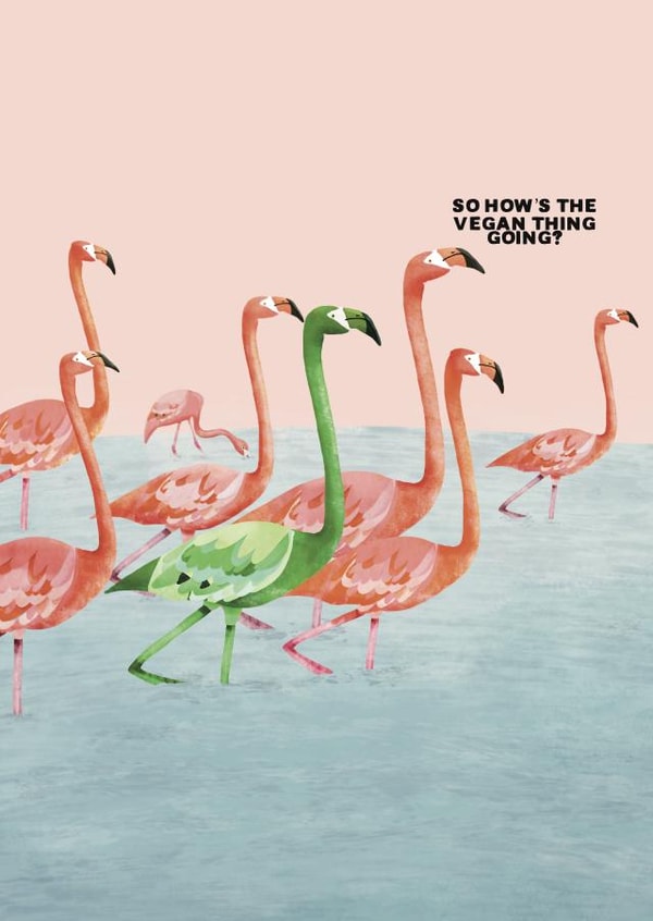 Vegan Flamingo Card created by Flockadoodle