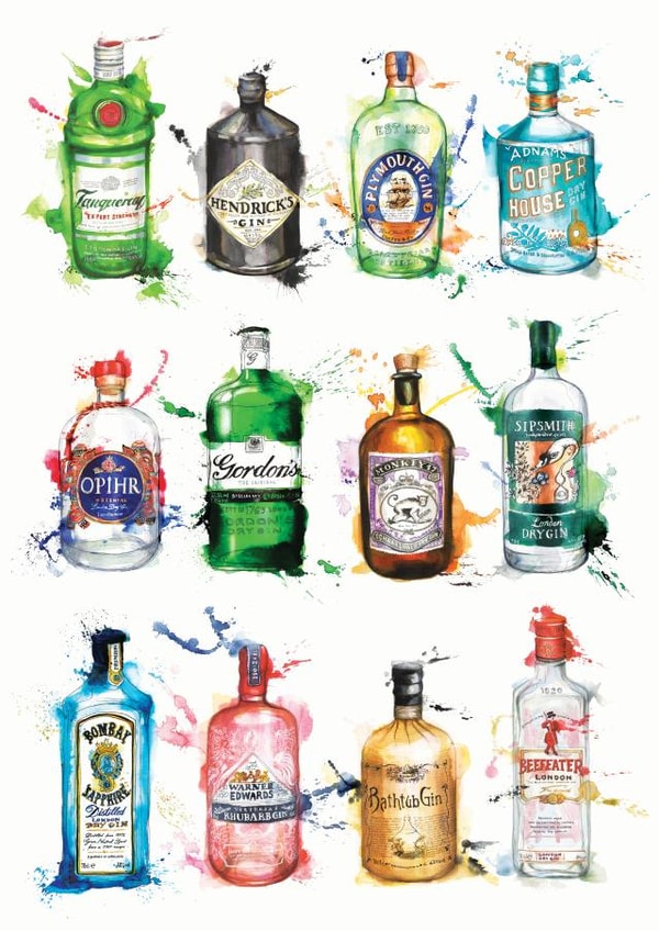 Pretty Bottles of Gin created by Georgina Luck Illustration