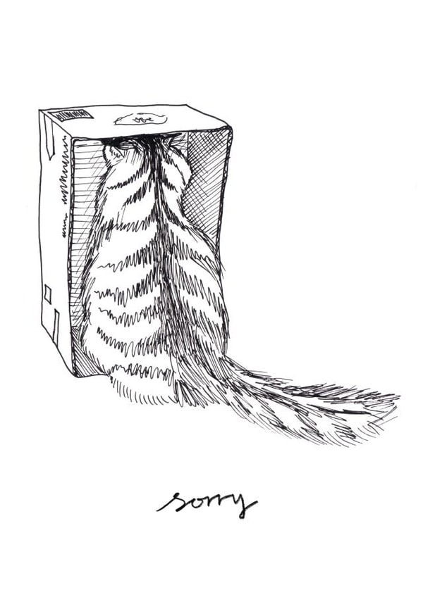 Cat in a Box Sorry Card created by @hobbbins