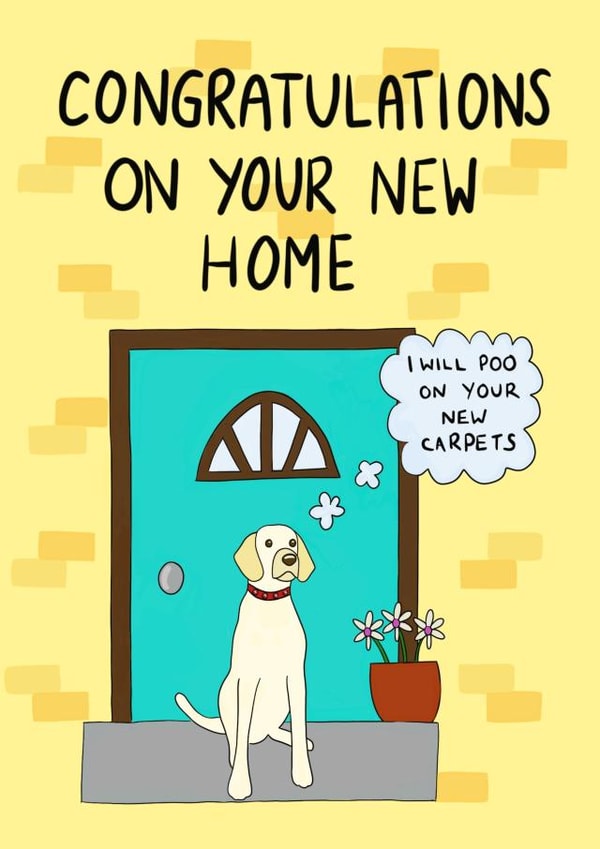 Funny Dog New Home Card - Poo - Congratulations On Your New Home I Will Poo On Your Carpets created by Schnauzer Scribbles