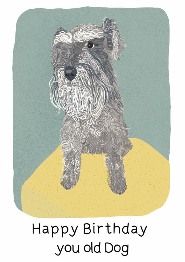 Happy Birthday pretty card created by Holly & Bud