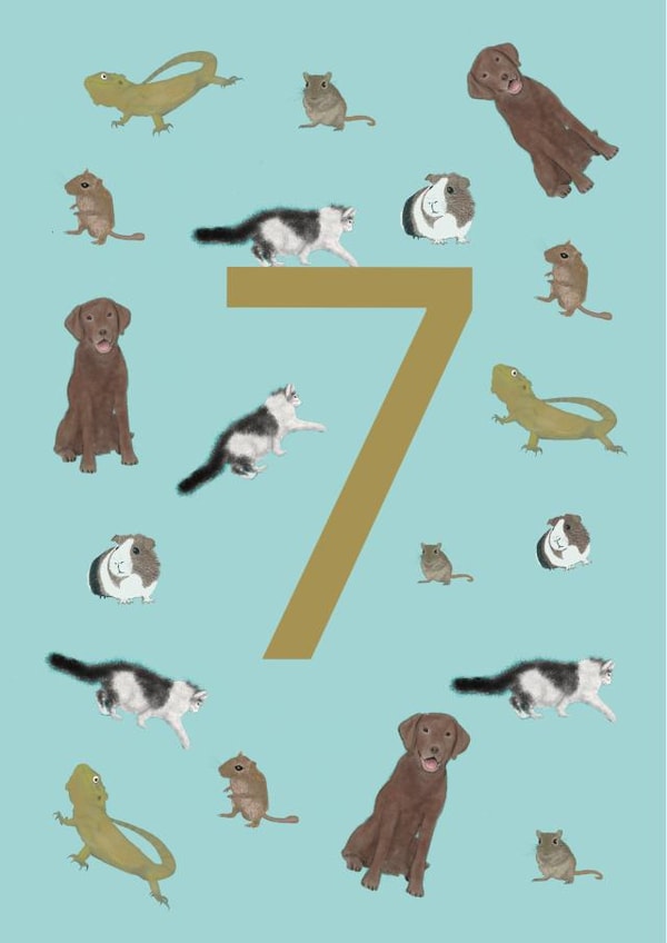 Pets and animals 7th birthday card created by Urban Collie
