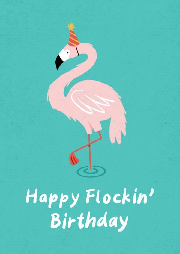 Happy Flockin' Birthday 🦩 created by Collyn Wooden Illustration