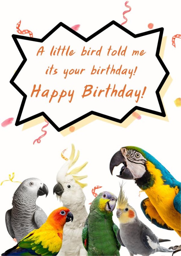 Parrot Happy Birthday Card created by NiftyGiftsUK