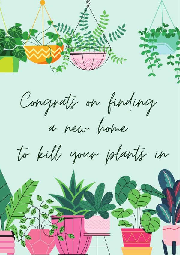 Congrats on finding a new home to kill your plants in created by Say What You See Greeting Cards