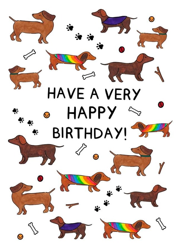 Colourful Sausage Dog Happy Birthday Card created by Meg Lillicrap Studio