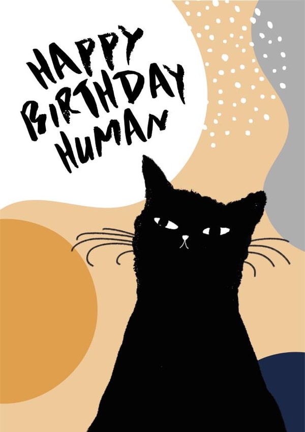 Happy Birthday Human Cat Birthday Card created by Lillehammer Creative