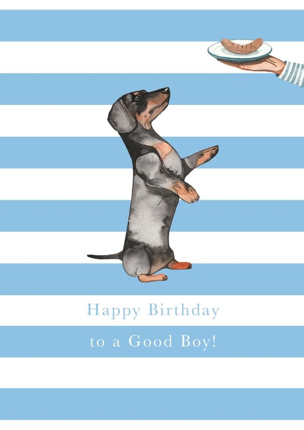 Dachshund Birthday Card - Birthday Boy created by Paper Maven