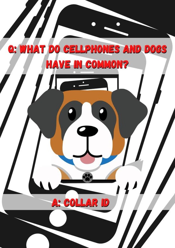 Cellphones and dogs. A match made in comedy heaven! created by OMGitsDan