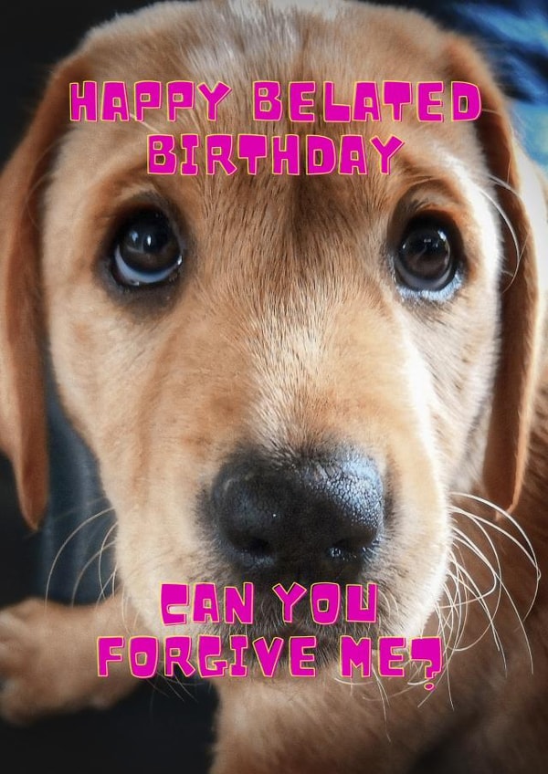 Belated birthday wishes for a dog loving friend. created by OMGitsDan