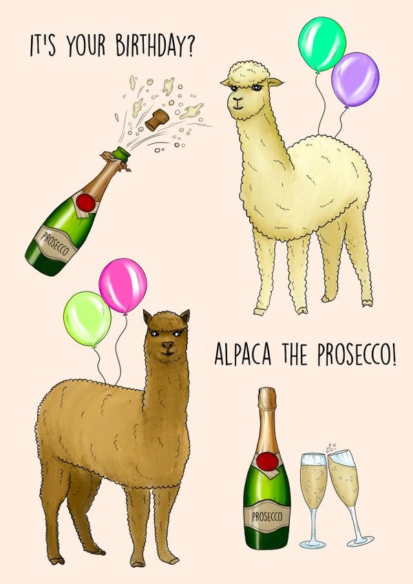 Alpaca the Prosecco created by Poppy & Mabel