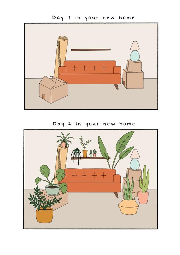 Funny House Plants New Home Card - Trendy Plants - Day 1 In Your New Home Day 2 In Your New Home created by Hey Bungalow Designs