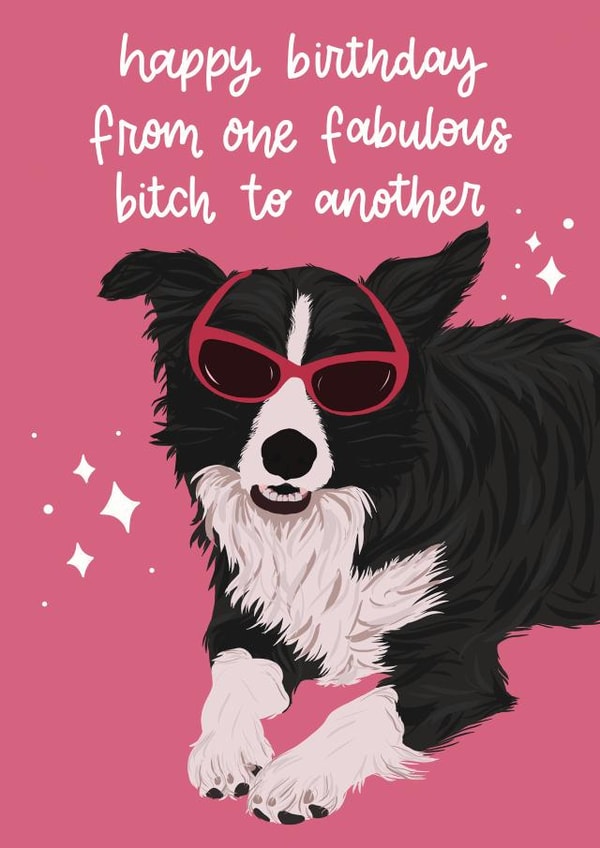 Funny Happy Birthday Card from one Fabulous Bitch to Another created by Arikaa Designs