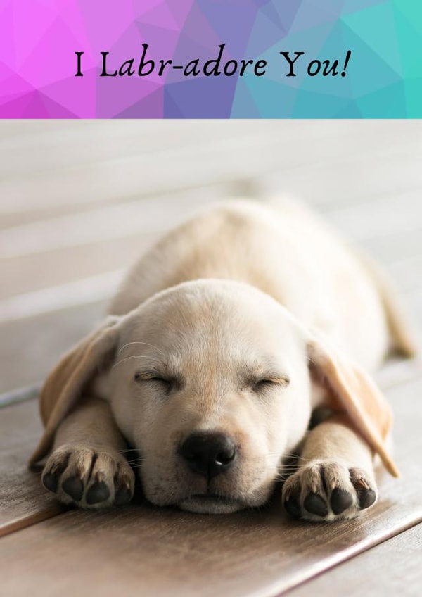 The Labrador  created by JamDesigns