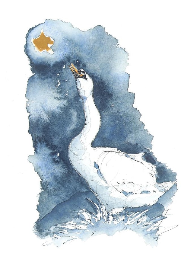 Swan and Star Greetings Card  created by River Swan of Avon 