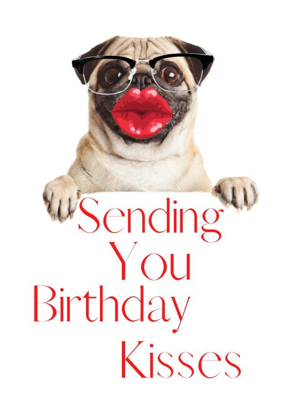 Happy Birthday Funny Dog Card 1000 created by Demi Lawton