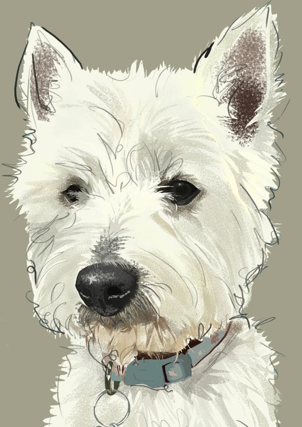 West Highland Terrier Card created by Higgledy Ink Illustration