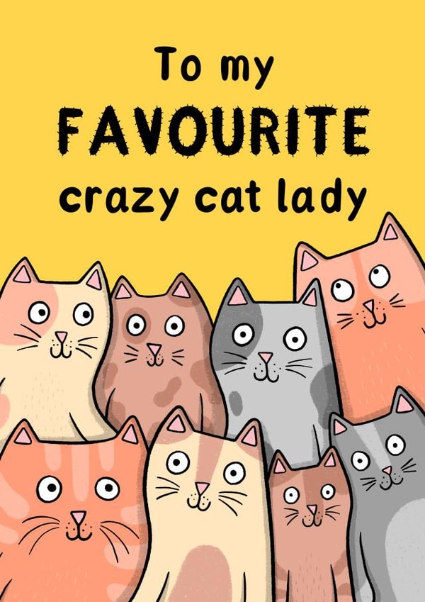 To My Favourite Crazy Cat Lady created by Drawn to Cats