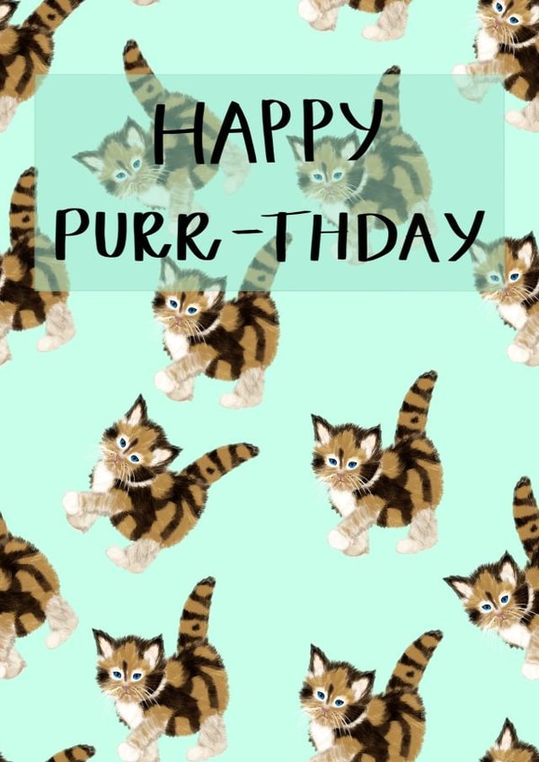 Happy Purr-thday to the cat lover in your life created by Victoria Hinder
