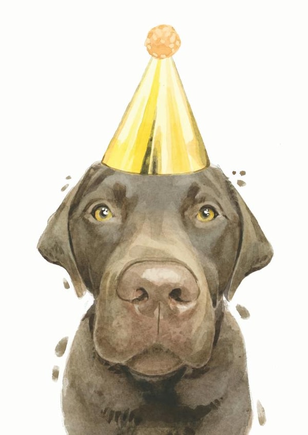 Chocolate Labrador Birthday Card created by Robert James Hull
