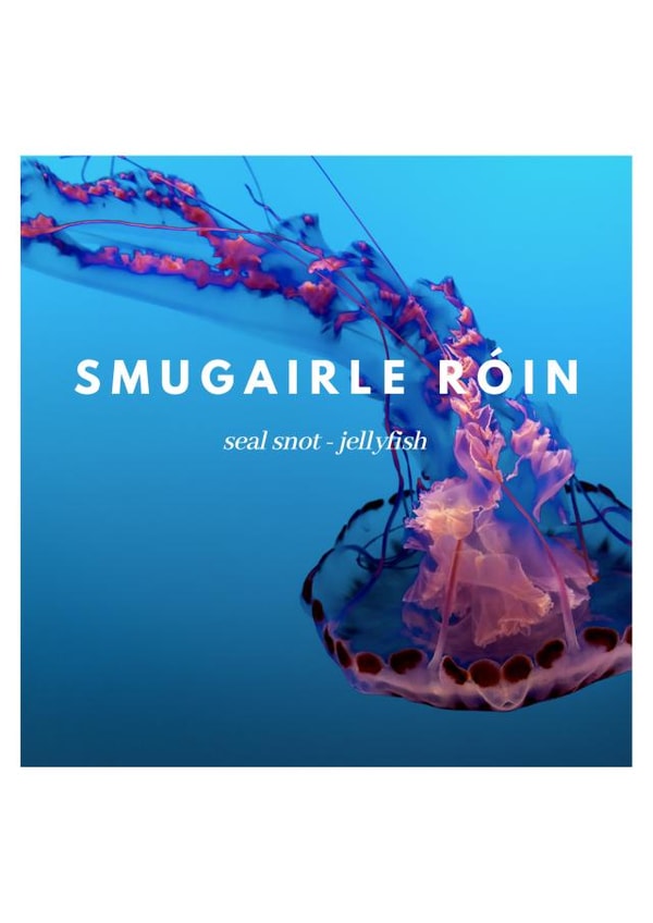 Smugairle Róin - Jellyfish created by Rosalynd Nic Aodh