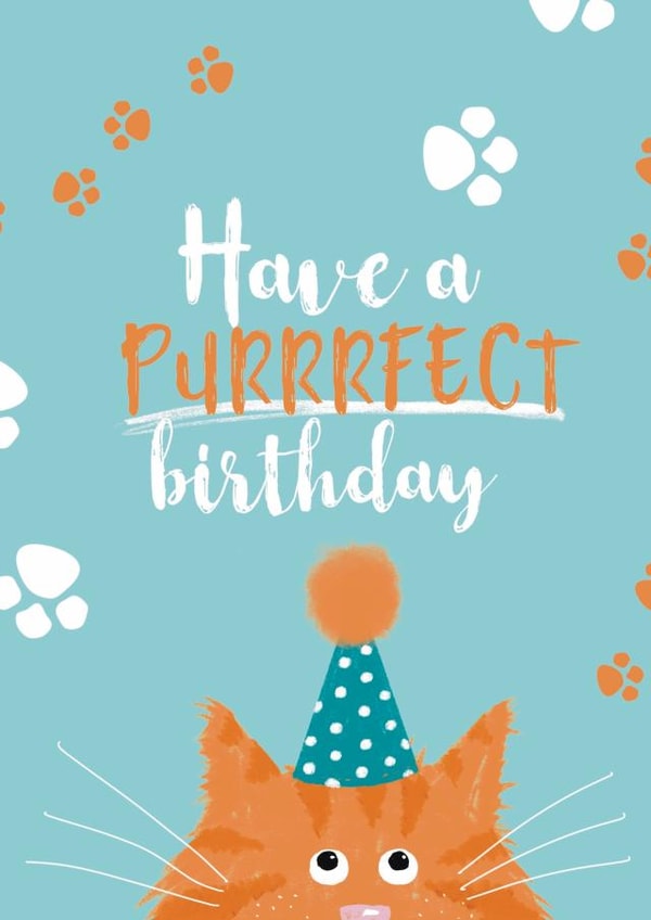 Purrrfect birthday cat card created by Giddy Kipper