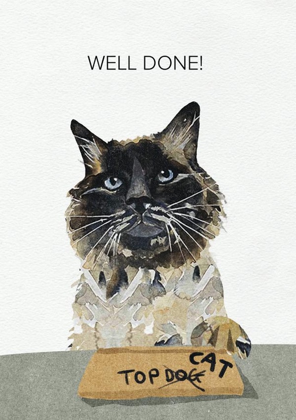 New job or Promotion Congratulations Card from the Cat created by Jo Scott Art