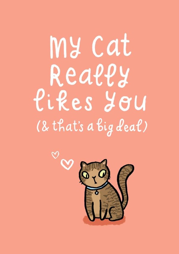 Funny cat appreciation card created by Katie Moody