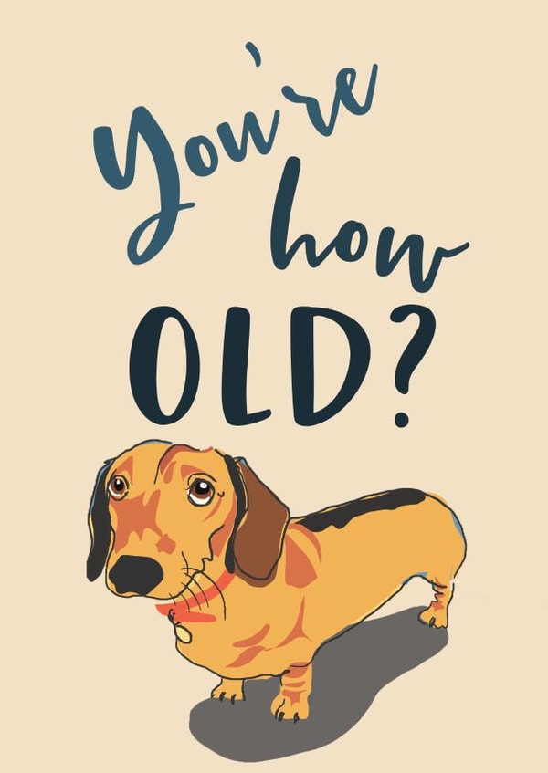 Dachshund Birthday Card created by Jo Scott Art