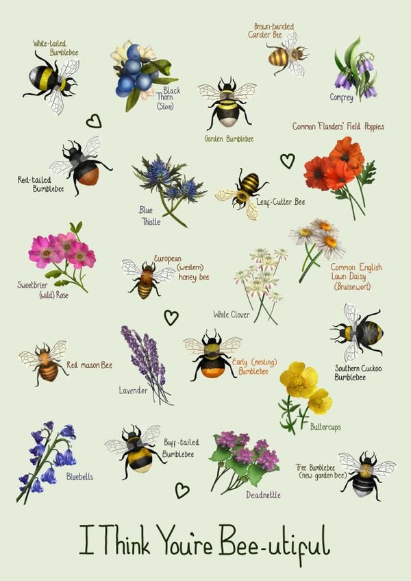 Bee-utiful British Bees and Wildflowers created by PetitArt