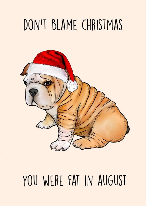 Don't blame Christmas... you were fat in August created by Poppy & Mabel