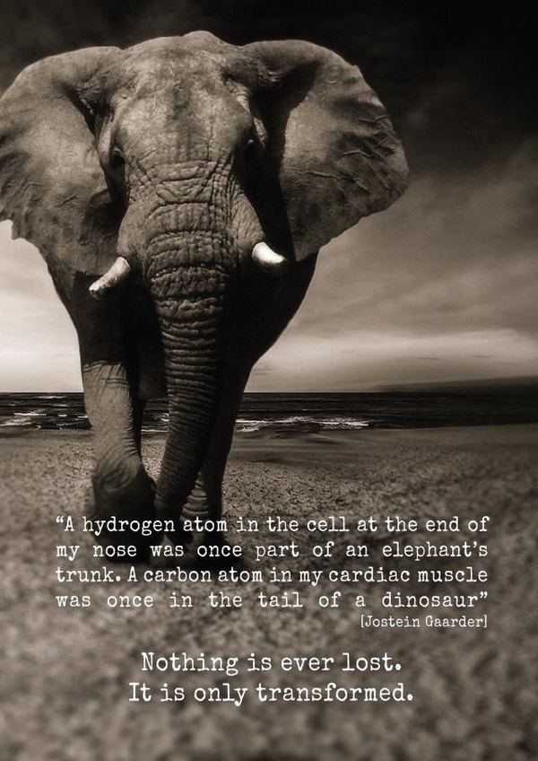 Nothing is ever lost - atheist sympathy card created by Irregular Thoughts