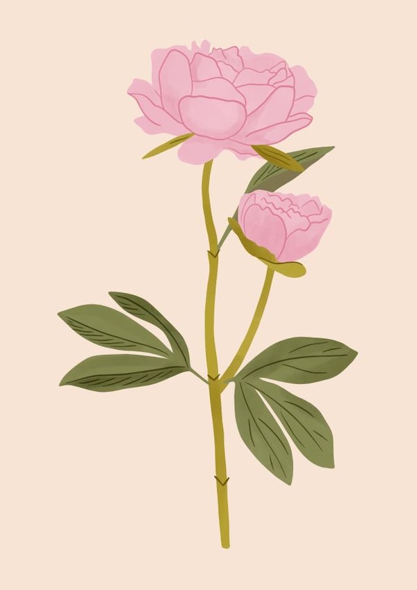 Pretty Peonies Greeting Card created by Georgia Ropek