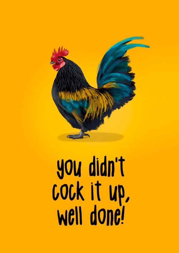 Well Done, You Didn't Cock it Up Card created by Sassy Sarah