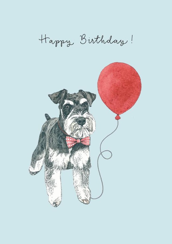 Miniature Schnauzer Birthday Card created by Amelia Ilangaratne