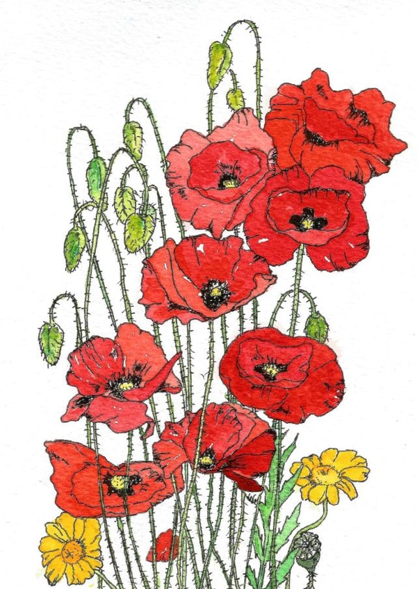 Beautiful Poppy Grettings Card created by Nicky's Art