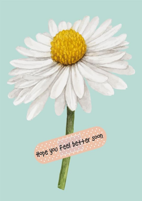 Feel Better Daisy and Plaster Card created by Sarah Hinchliffe Illustrations