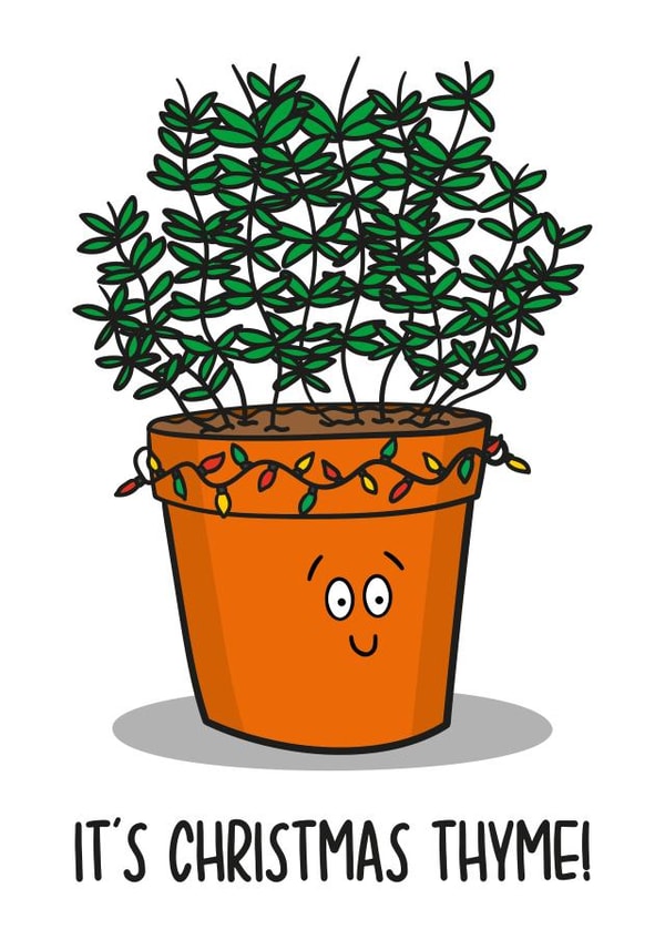 Herbs - Food - Funny - Pun - Its Christmas Thyme - Thyme - Its Christmas Time - Plant Pot - Christmas card created by TeePee Creations