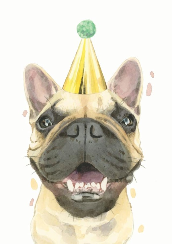 French Bulldog Birthday Card created by Robert James Hull