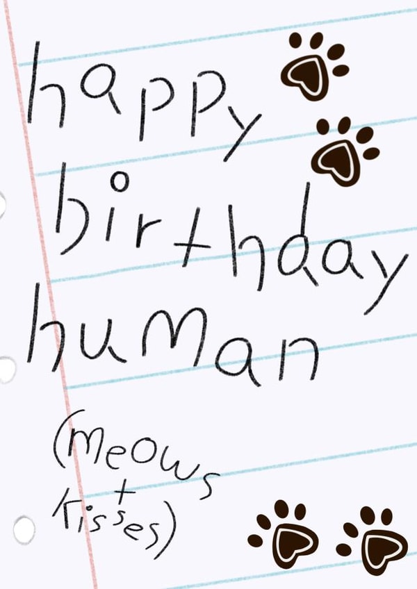 Happy birthday from the cat 1001 created by Palette&Petal 