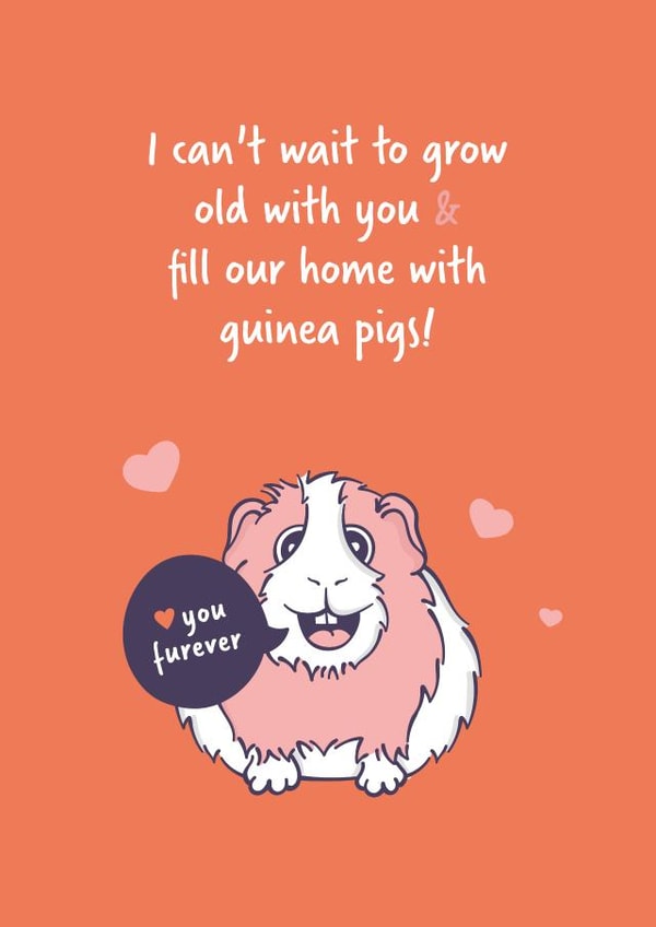 Romantic Guinea Pig Anniversary Card or Valentine's Day card. created by Goofy Guineas