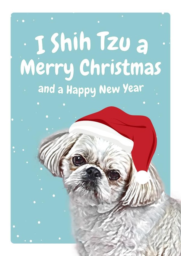 Shih tzu dog christmas card created by Studio Woof