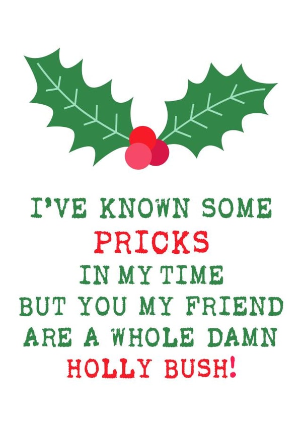 Merry Christmas You Prick created by Simply Nix