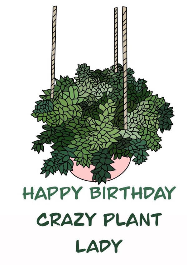 Happy Birthday Crazy Plant Lazy Card created by Shannon Jones