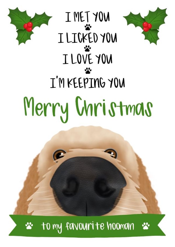 Cute - Hooman - Cockapoo - Merry Christmas Card - From the Dog created by The Merry Giraffe