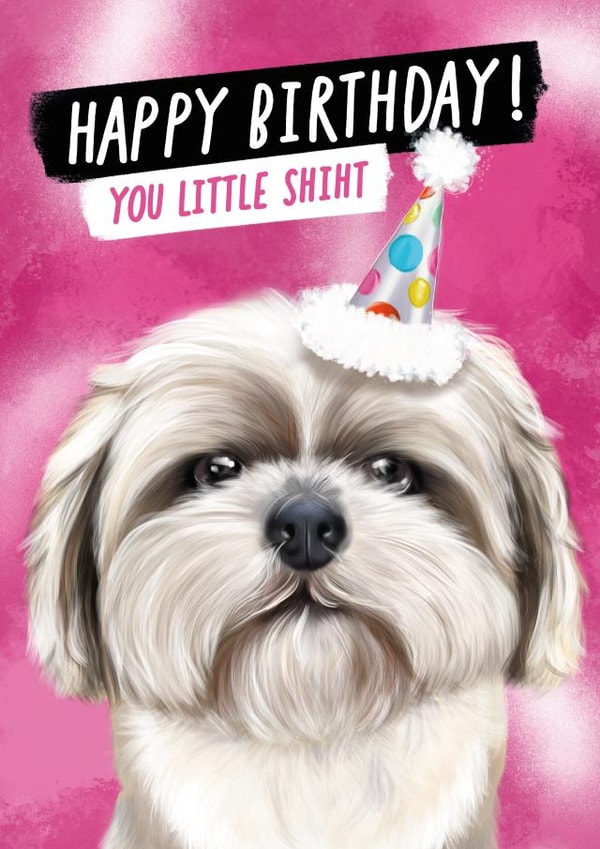 Cheeky Birthday Card for Loved Ones - Shih Tzu - You Little Shiht created by @thats.canny