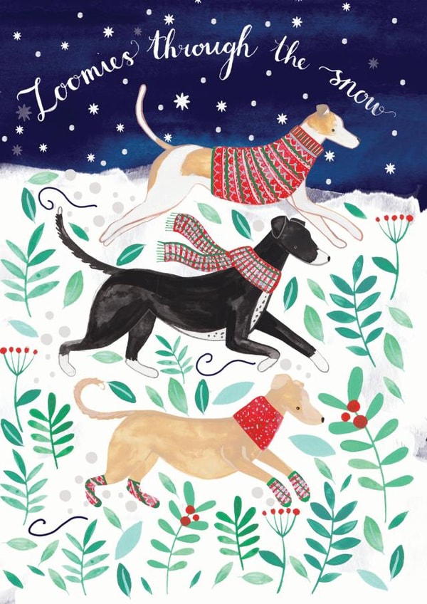 Zoomies Christmas Card created by Katie Whitton Design