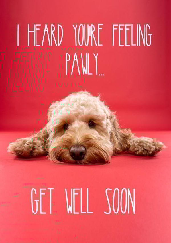 Get Well Soon Cockapoo Card 1000 created by The Yorkshire Pawtrait Co.